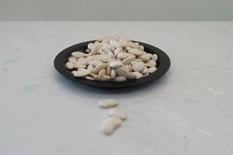 不了解白芸豆是个什么植物,就请问九粒白芸豆有多长呢