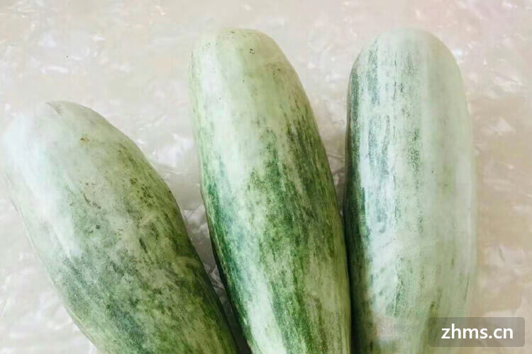 夏天有哪些瓜类