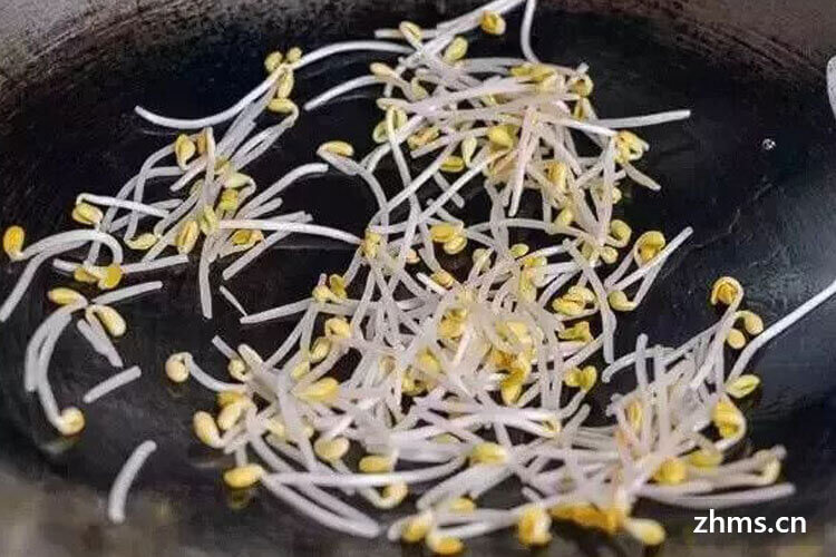 短黄豆芽怎么发