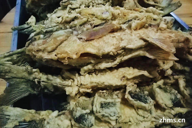 鳡鱼好吃吗,鳡鱼怎么做简便又美味