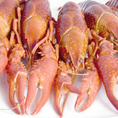 螯虾