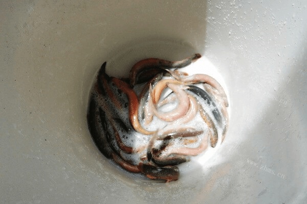 鲜香美味的泥鳅汤面的制作方法第二步