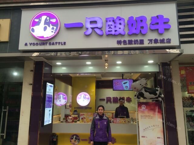 一只酸奶牛图2