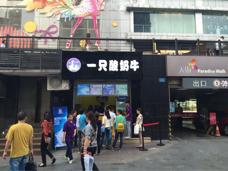 一只酸奶牛图3