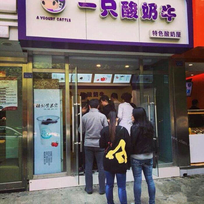 一只酸奶牛图4