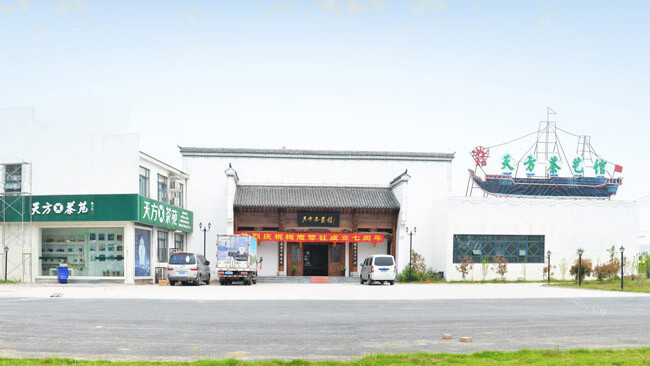 天方茶业