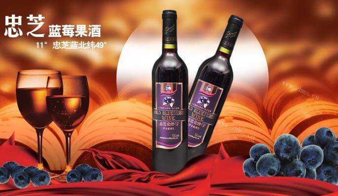 忠芝蓝莓饮品加盟优势 忠芝蓝莓饮品加盟优势