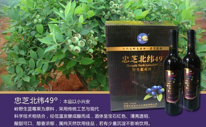 忠芝蓝莓饮品加盟条件 忠芝蓝莓饮品加盟条件