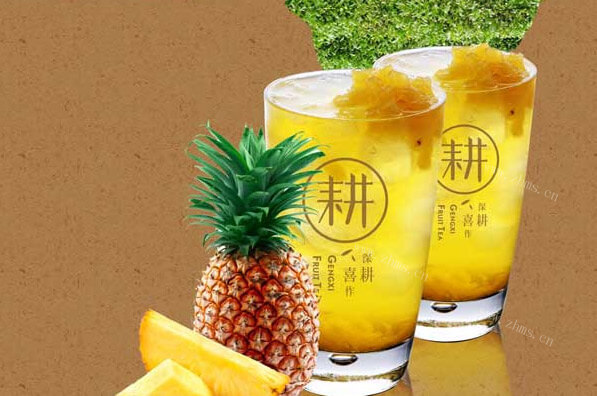 耕喜水果茶饮品品牌介绍图2 耕喜水果茶饮品品牌介绍图2