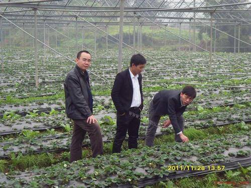 竹青雅苑私房菜品牌介绍图2 竹青雅苑私房菜品牌介绍图2