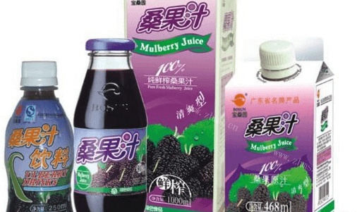 宝桑园桑果汁饮品品牌介绍图1 宝桑园桑果汁饮品品牌介绍图1