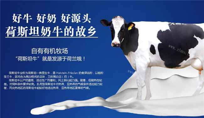 乐荷牛奶饮品加盟详情2 乐荷牛奶饮品加盟详情2