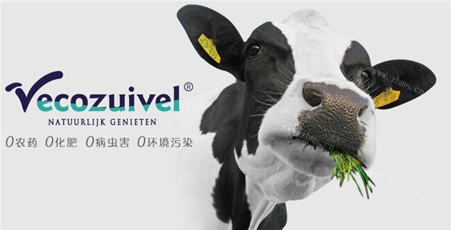 乐荷牛奶饮品加盟条件 乐荷牛奶饮品加盟条件