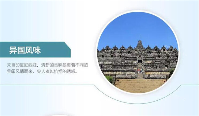 kara佳乐椰子水品牌介绍图2 kara佳乐椰子水品牌介绍图2