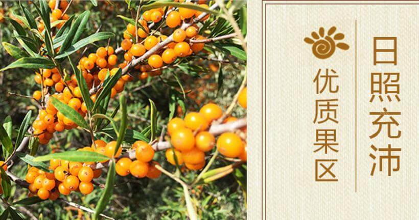右玉红品牌介绍图2 右玉红品牌介绍图2
