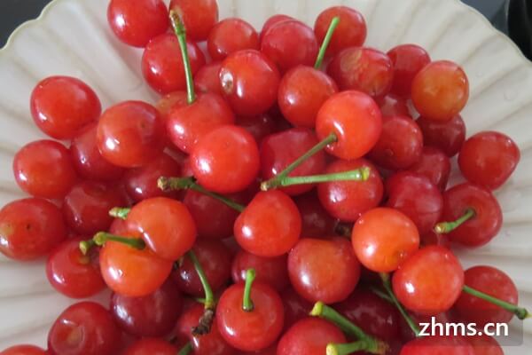 水果的营养，黑珍珠樱桃有什么营养价值？