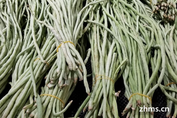 缸豆 缸豆
