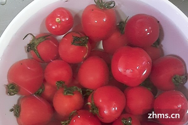 西红柿对身体好都知道，具体应该怎么吃
