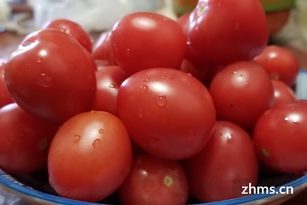 番茄的制作
