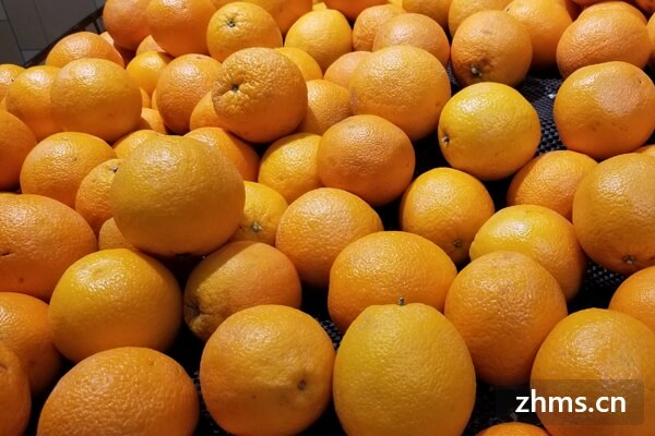 吃橙减肥