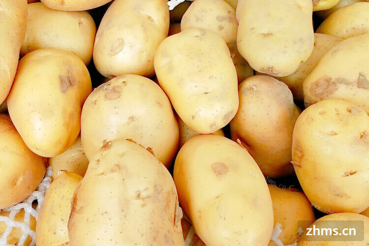 土豆炖豆角怎么做，有哪些功效