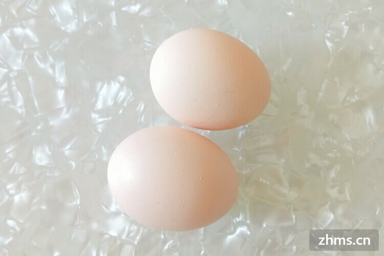 准备蒸一个鸡蛋羹，想问问鸡蛋羹能蒸多久？