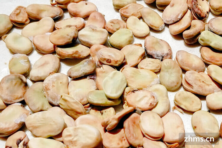 新鲜蚕豆的营养价值
