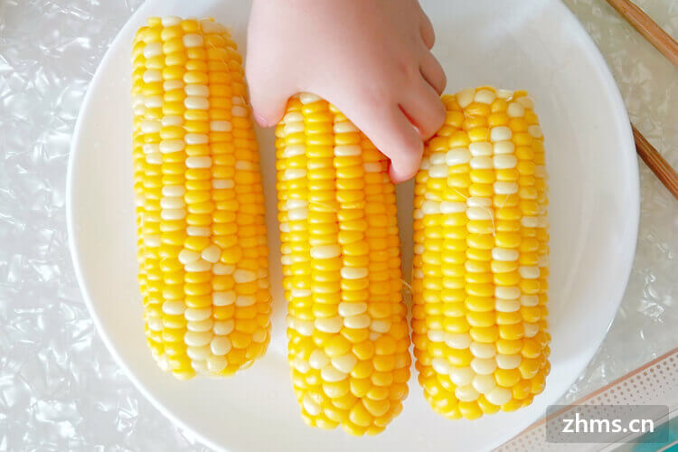怀孕能吃玉米吗