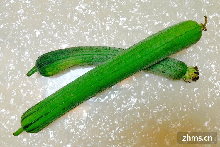 减肥期间可以吃丝瓜吗,丝瓜热量高吗 减肥期间可以吃丝瓜吗,丝瓜热量高吗