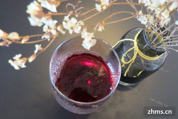 你们知道艾可波干红葡萄酒怎么喝最好