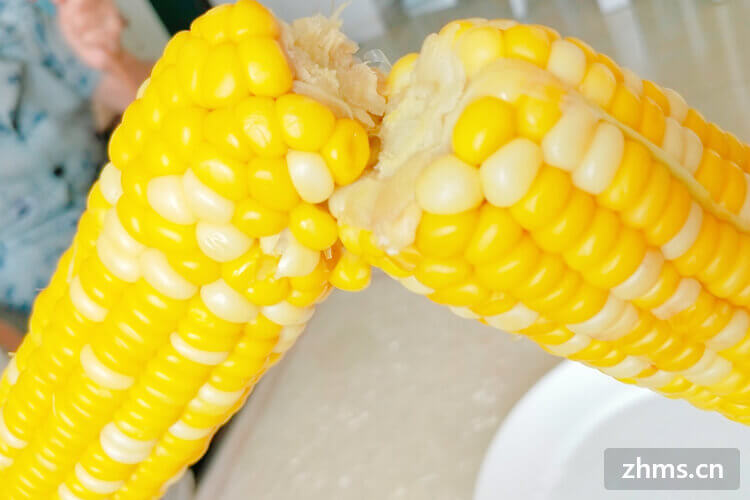 吃煮玉米会发胖吗