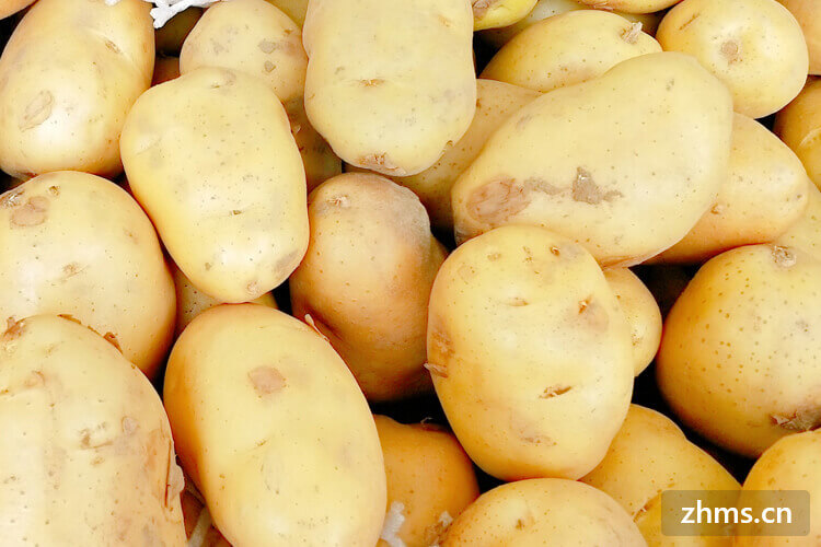 土豆泥的土豆蒸多久