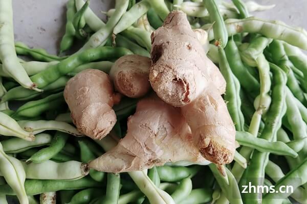 孕妇可以吃豆角吗
