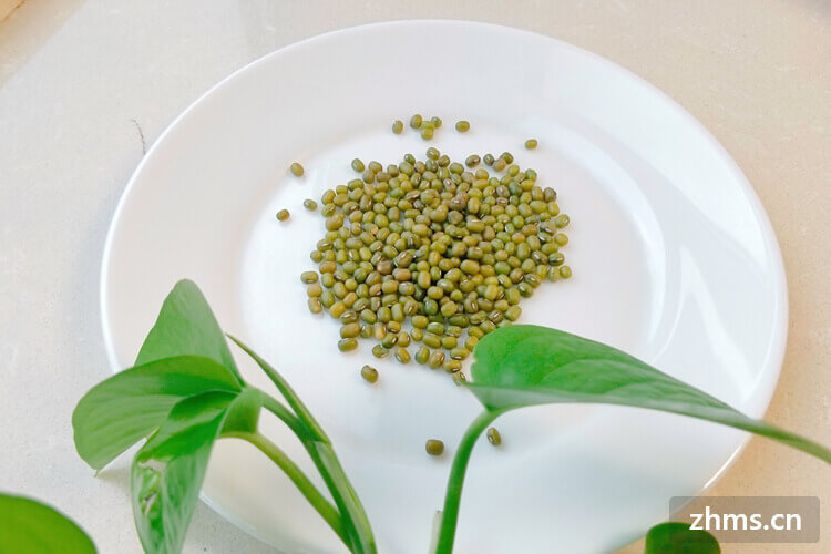 湿疹能吃绿豆吗