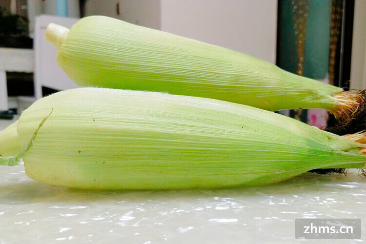 煮玉米能减肥吗