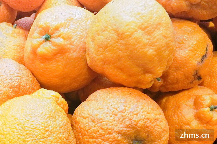 吃橘子会胖吗