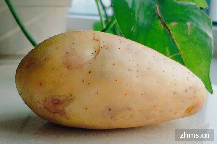 土豆发芽还能吃吗？土豆怎么储存不发芽？