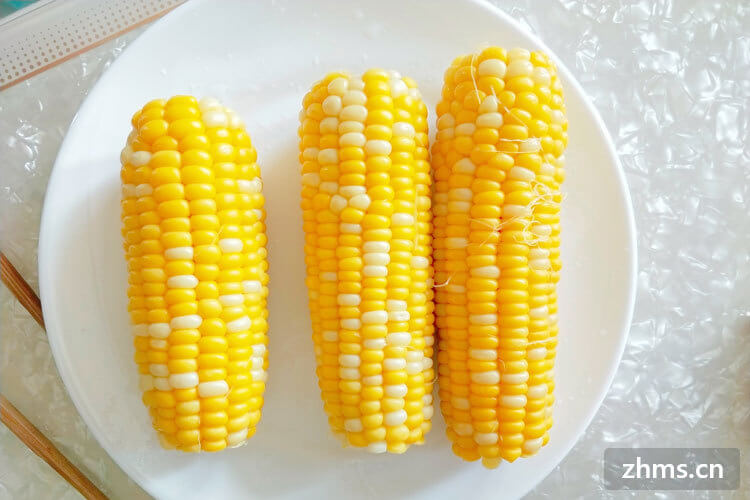 煮玉米能减肥吗