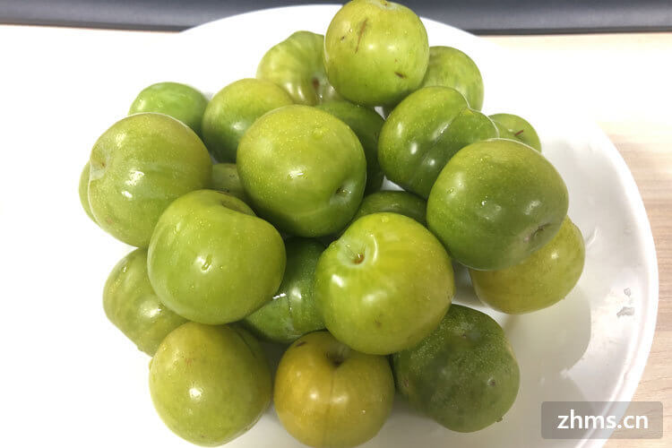 李子的热量是多少呢?有什么样的功效呢 李子的热量是多少呢?有什么样的功效呢