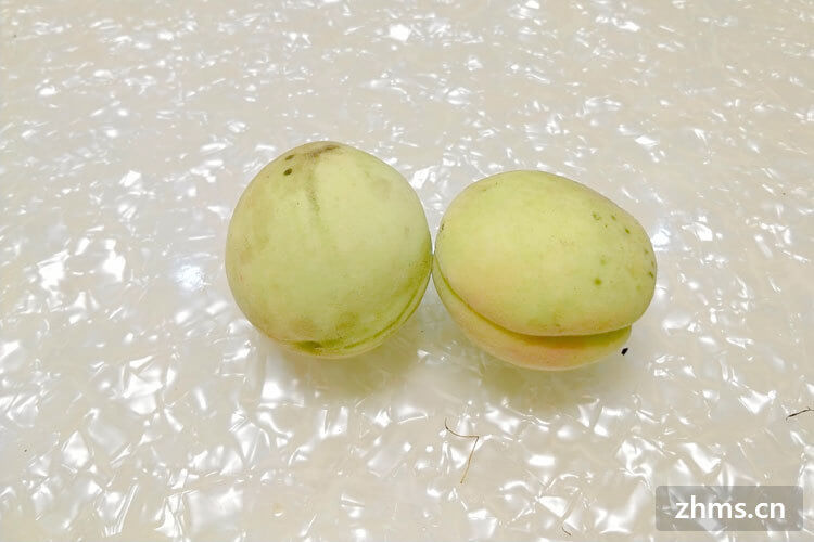 李子是寒性 李子是寒性