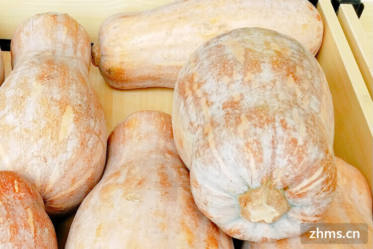 南瓜炖土豆的功效与作用有哪些