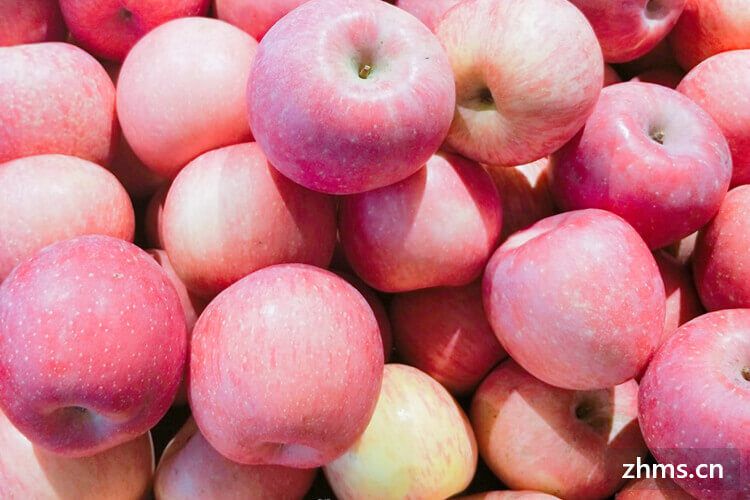 每天晚上只吃一个苹果能减肥吗