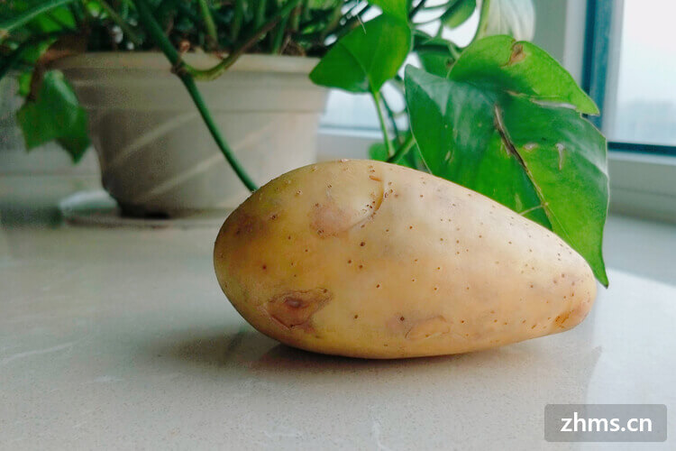 煮土豆可以减肥吗