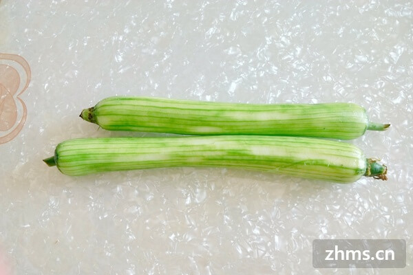 丝瓜热量 丝瓜热量