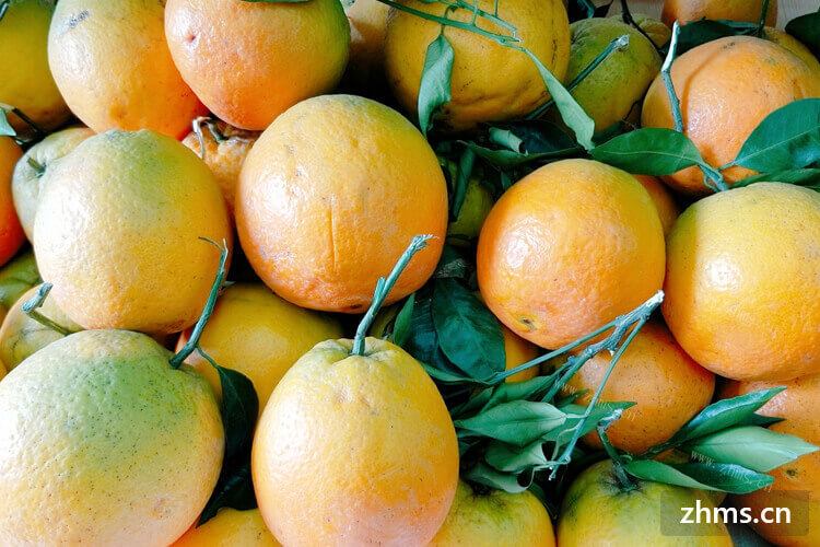 橙子大家都不陌生，那大家吃橙子的时候橙子要去皮吗？