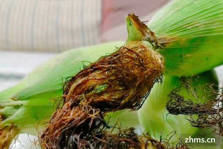 玉米保存只需要一个小方法，放一整年都照样新鲜