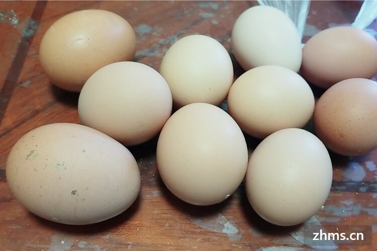 煮鸡蛋需要多长时间熟