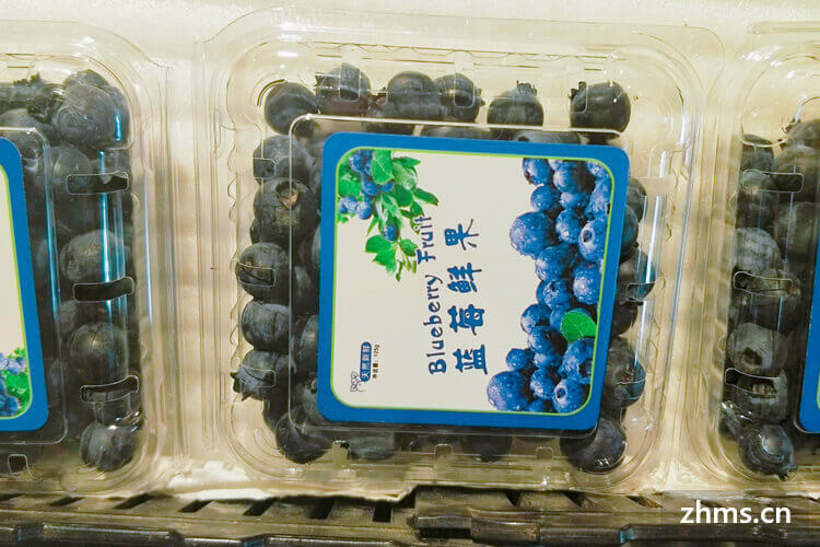 鲜蓝莓怎么吃，告诉你几个吃法 