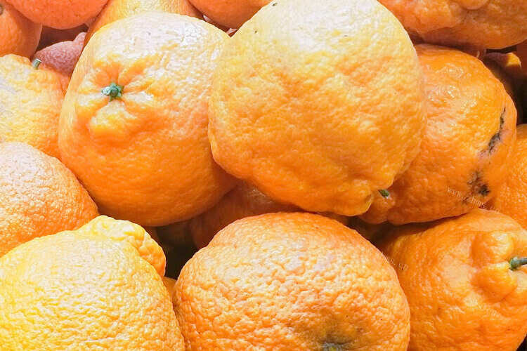 网购了一袋橘子，橘子真空包装后会破是为什么？