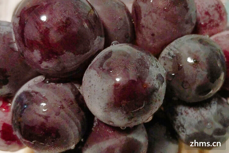 6月的葡萄是反季节水果吗？葡萄的营养价值